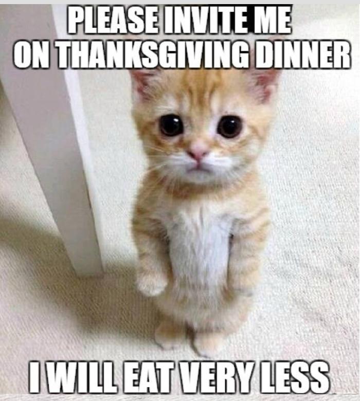 funny thanksgiving day meme
