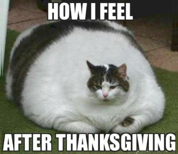 funny thanksgiving memes - 2